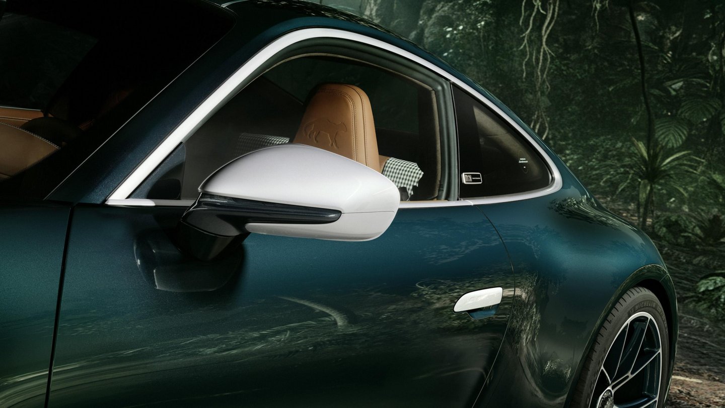 Détails extérieurs de la Porsche 911 GT3 Ocelot