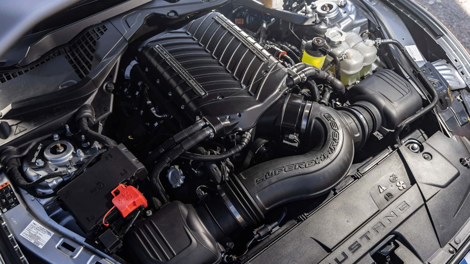 2026 Shelby Super Snake