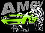 Photo ou visuel du club AMERICAN MUSCLE CARS OF VENDÉE