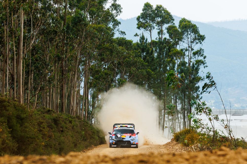 Thierry Neuville, Martijn Wydaeghe (Hyundai)