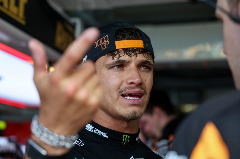 F1 : McLaren MCL40, la déception confirmée pour Norris