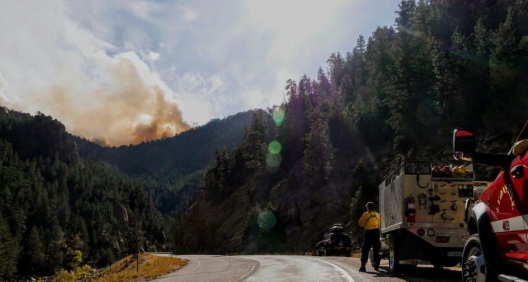 Mégot au volant : le geste qui allume le feu dans le Sud