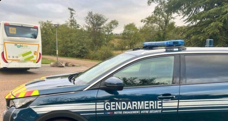 Somnolence au volant : un automobiliste finit dans les buissons près de Niort