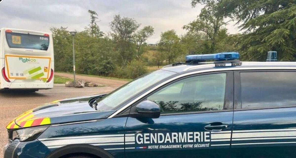 Somnolence au volant : un automobiliste finit dans les buissons près de Niort